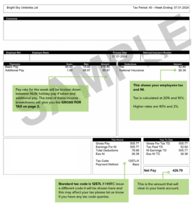 Sample Payslip 2024 Bright Sky Contracting   Sample Payslip 2024 282x300 